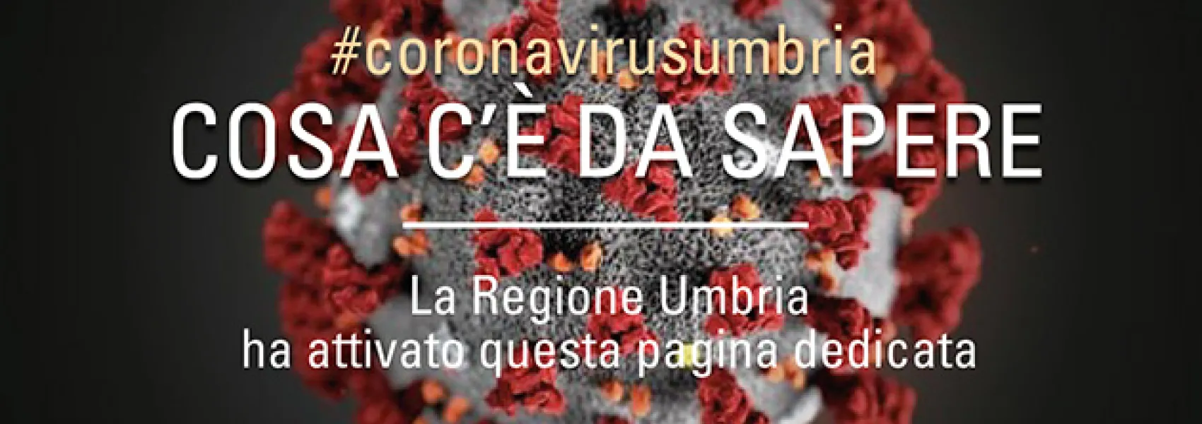 Banner%2520Coronavirus%25202.jpg