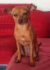 Profile picture for user Pierfederici Giuliano